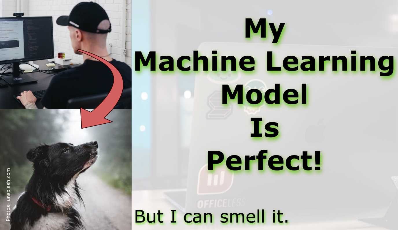 My Machine Learning Model Is Perfect