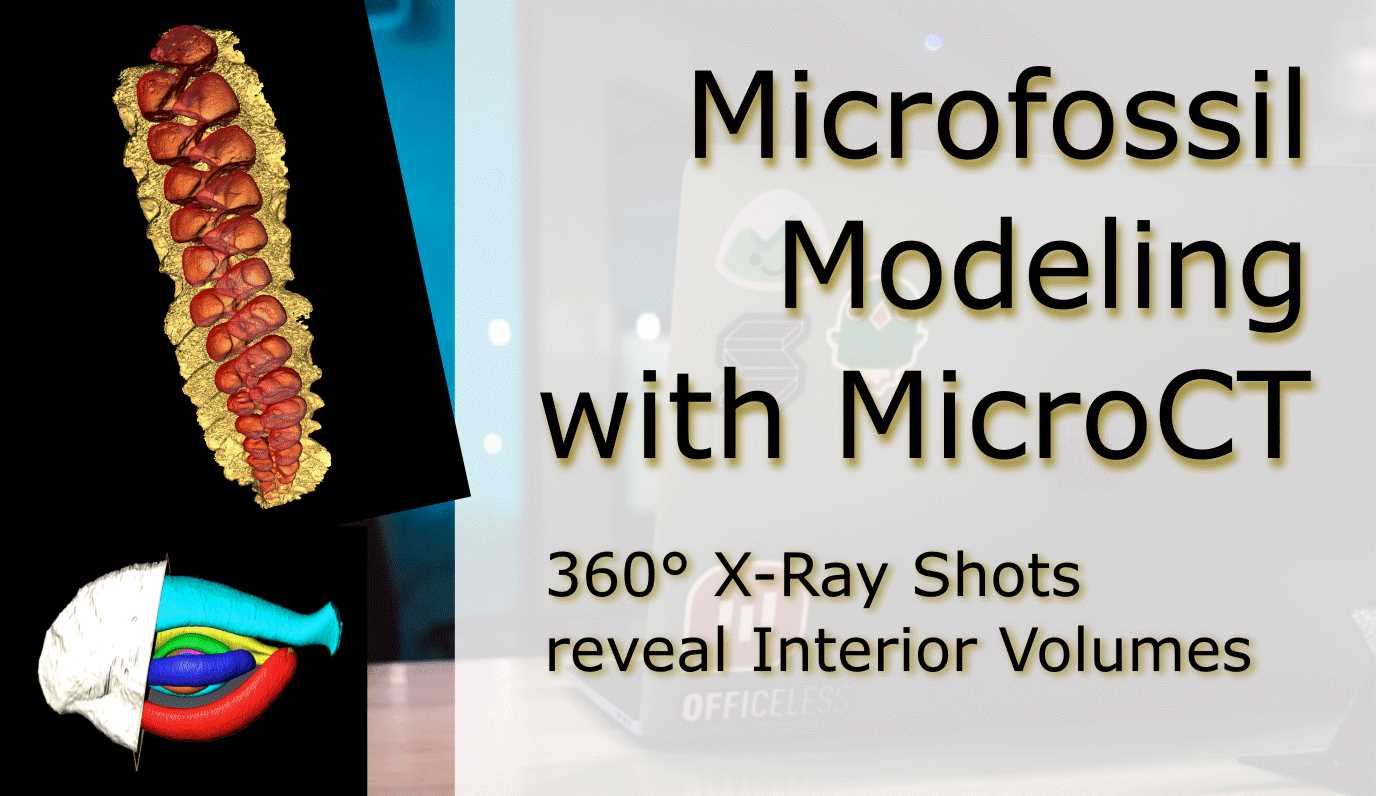 Microfossil Modeling with MicroCT